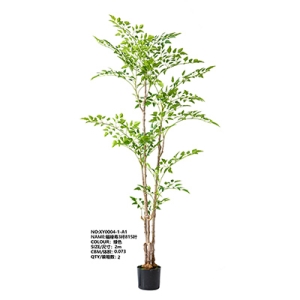 XY0004 Nandina 福禄寿