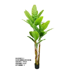 XY0011 Banana Tree 香蕉树
