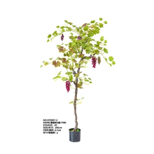 XY0007 Grapetree 葡萄树