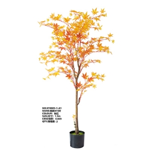 XY0005 Maple 枫树