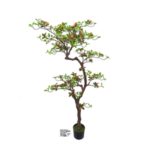 XY0025 Rhaphiolepis Indica 海岛春树